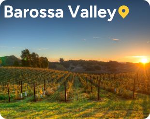 barossa valley